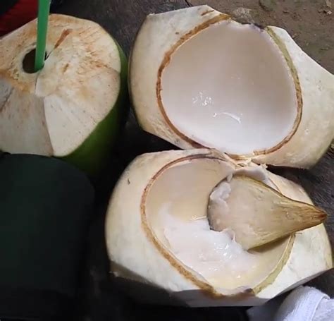 laman ng niyog|Buko .